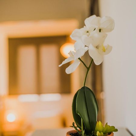 Green Apartment Ground Floor Feel Like Home Properties Saronida Exterior foto
